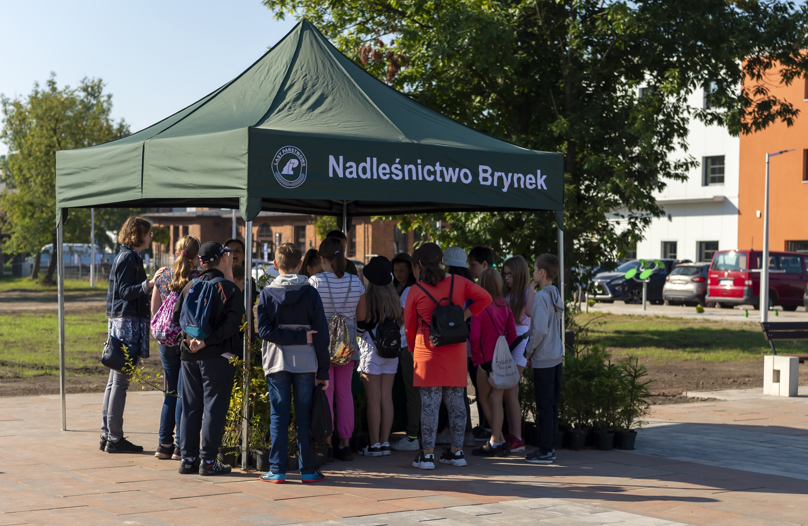 Nadleśnictwo Brynek